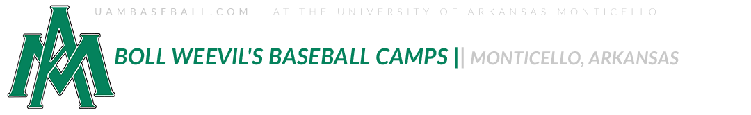 Arkansas Monticello - Baseball