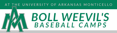 Arkansas Monticello - Baseball